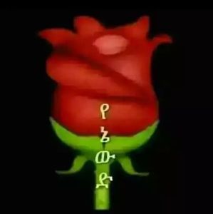 Meet your Posher, Kidist